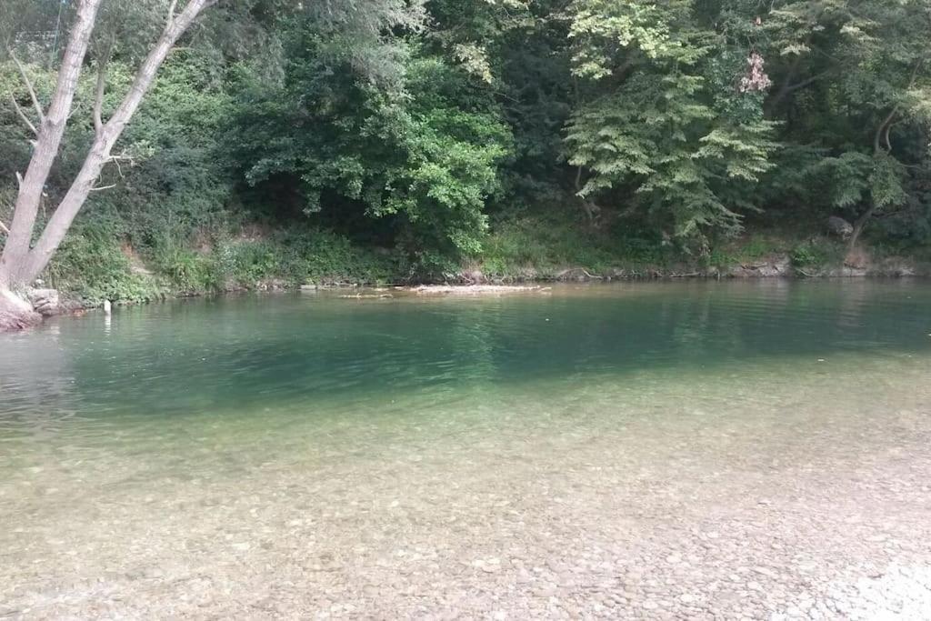 Appart Dans Maison 2 Km De La Plage Villeneuve-Loubet Eksteriør bilde